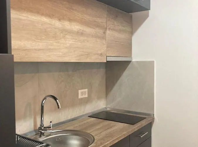 Apartament Presidentkop Kopaonik